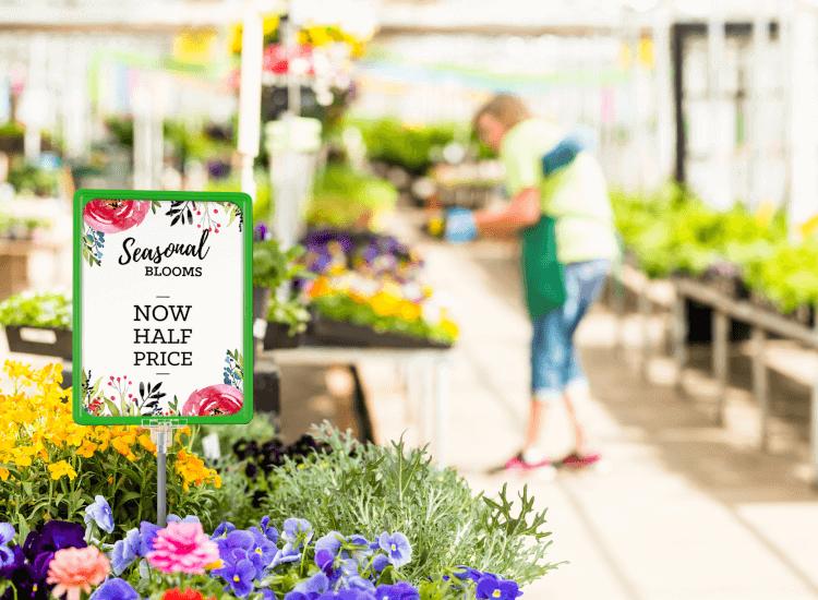 garden centre bargains