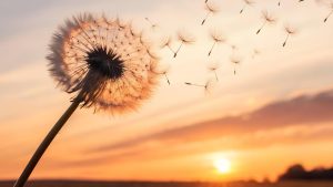 you don't need closure to move forward